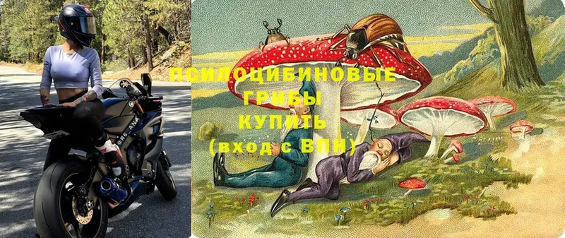 купить   Бодайбо  Псилоцибиновые грибы мухоморы 